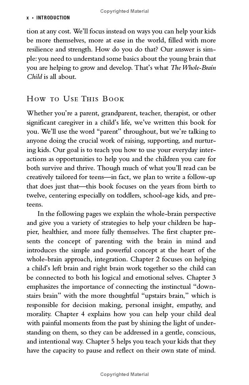 The Whole-Brain Child - Ảnh 8