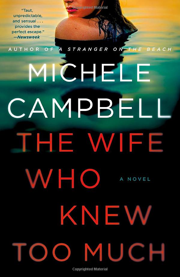 the wife who knew too much - Ảnh 2