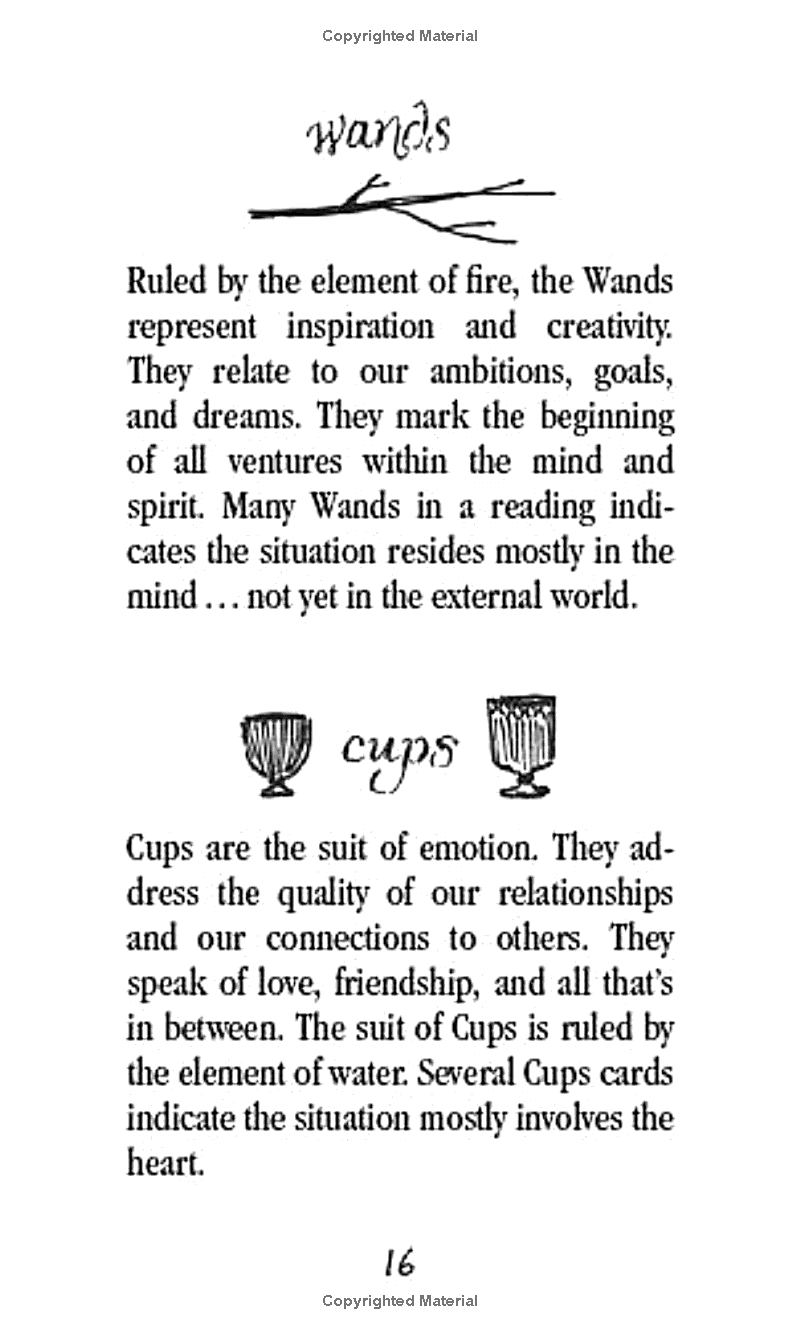 the wild unknown pocket tarot - Ảnh 13