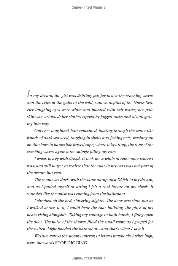 the woman in cabin 10 - Ảnh 4