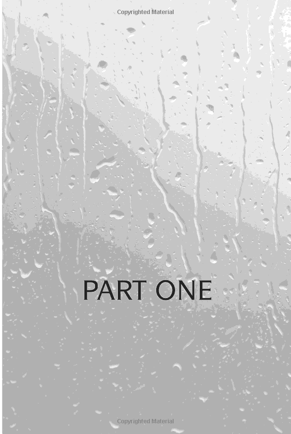 the woman in cabin 10 - Ảnh 5