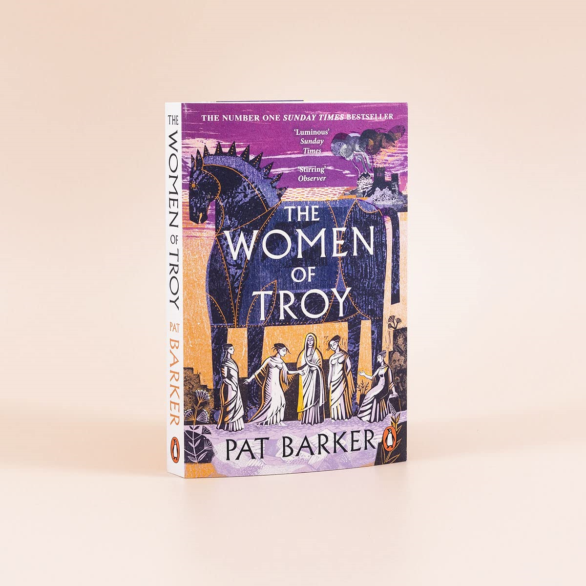 the women of troy - Ảnh 11
