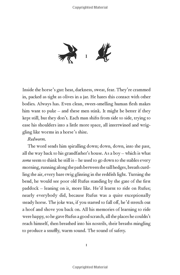 the women of troy - Ảnh 4