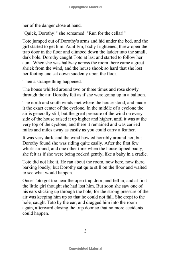 the wonderful wizard of oz: a commemorative pop-up - Ảnh 4