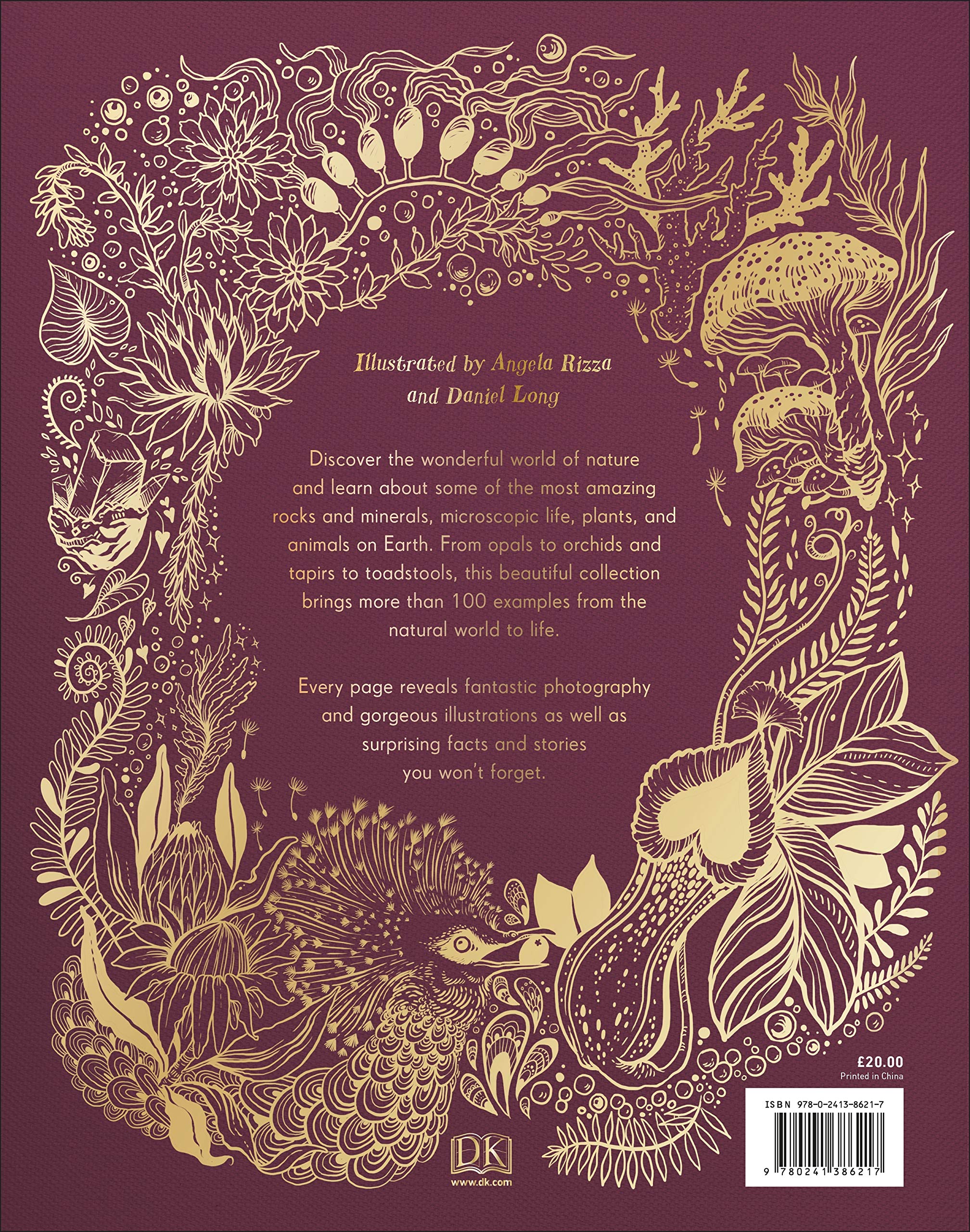 the wonders of nature - Ảnh 10