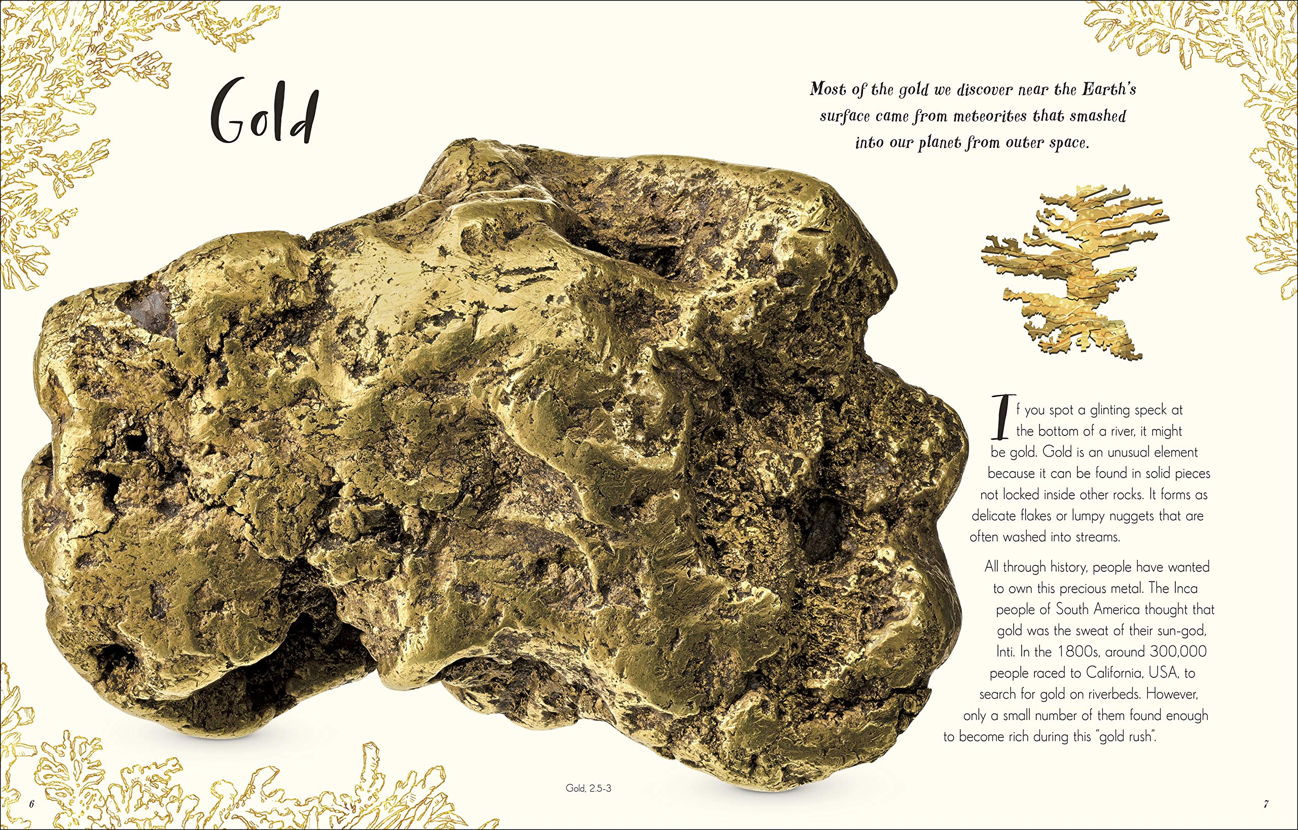 the wonders of nature - Ảnh 2