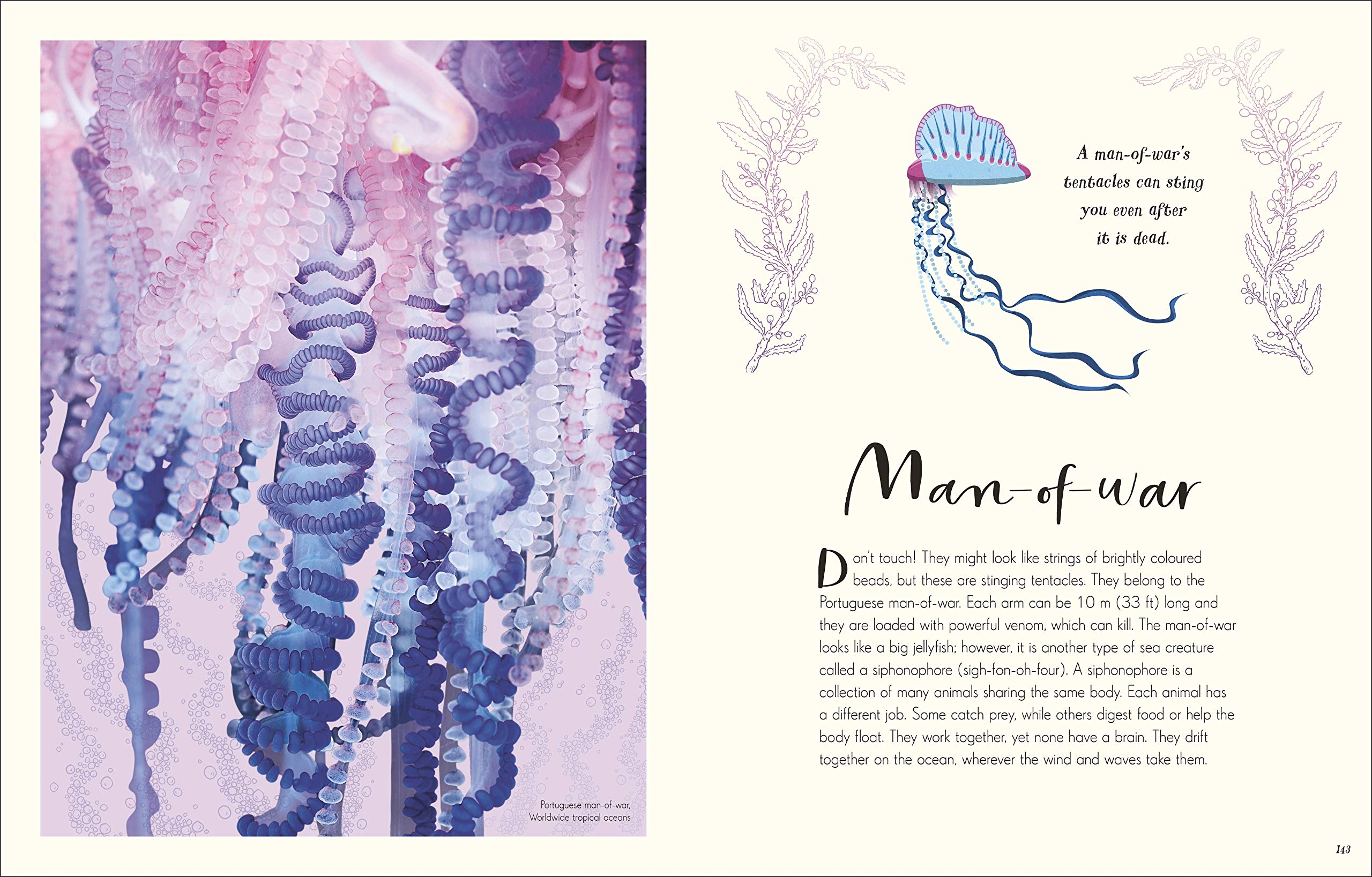 the wonders of nature - Ảnh 7