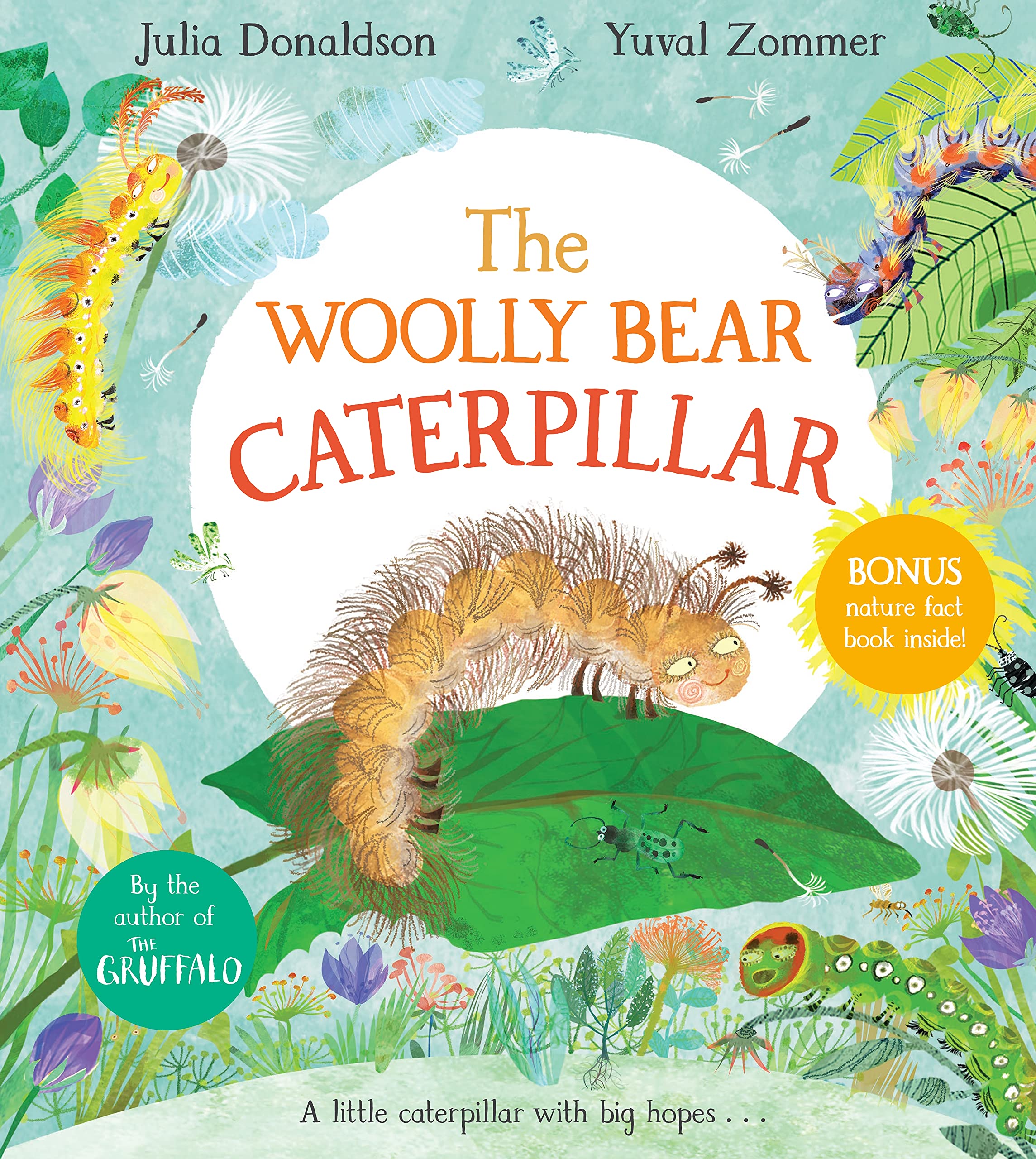 the woolly bear caterpillar - Ảnh 2