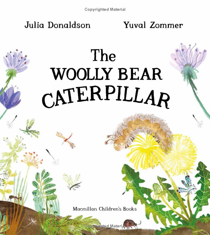 the woolly bear caterpillar - Ảnh 3