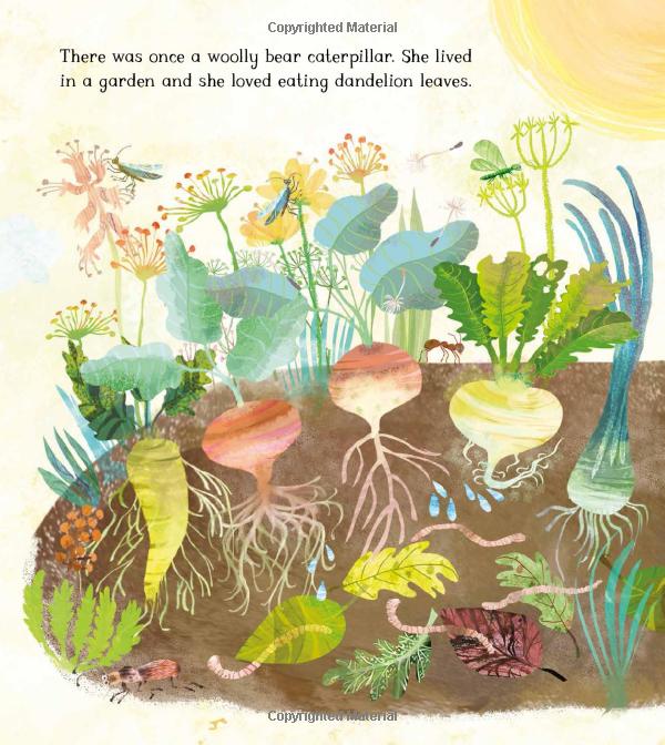 the woolly bear caterpillar - Ảnh 4