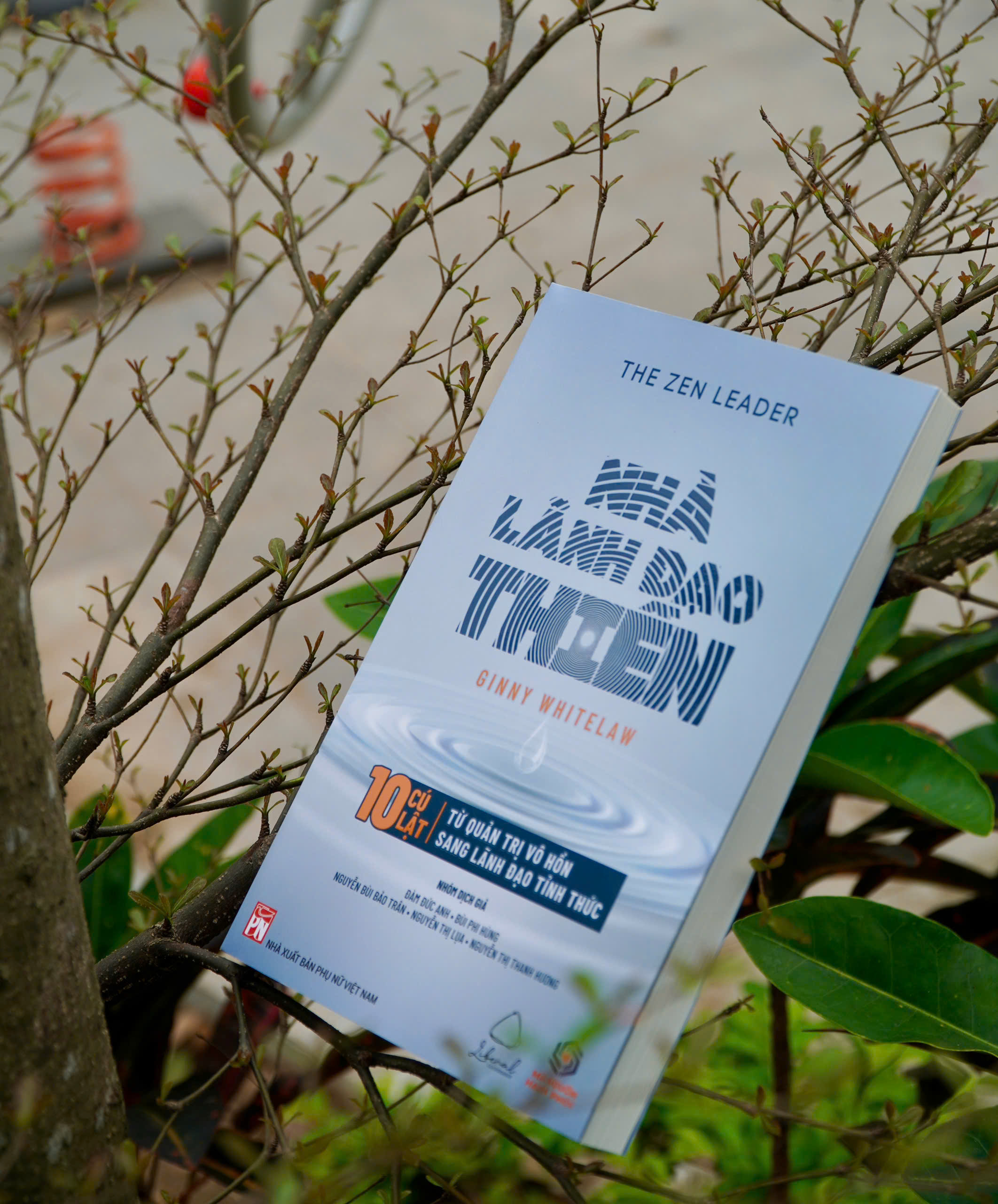 The Zen Leader - Nhà Lãnh Đạo Thiền - 10 Cú Lật Từ Quản Trị Vô Hồn Sang Lãnh Đạo Tỉnh Thức - Ảnh 5