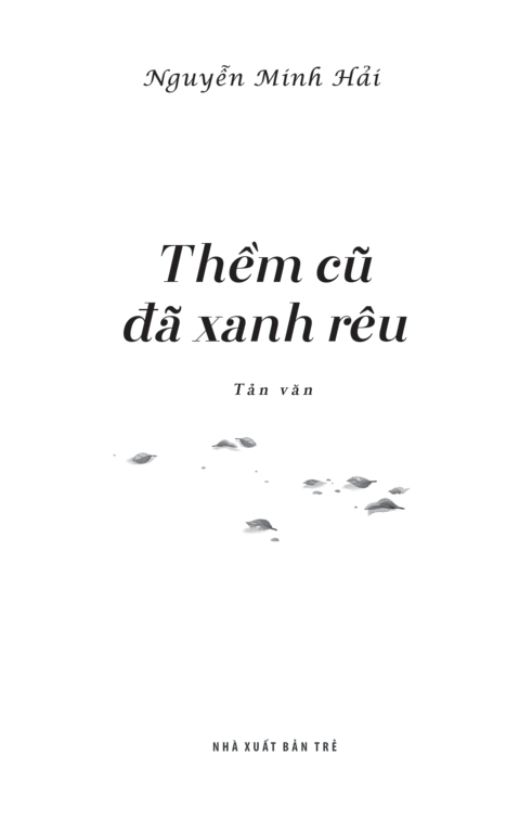 thềm cũ đã xanh rêu - Ảnh 3