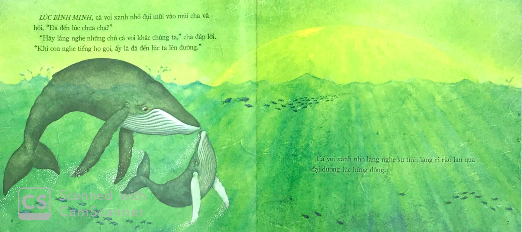 theo bài hát của cha - Ảnh 2