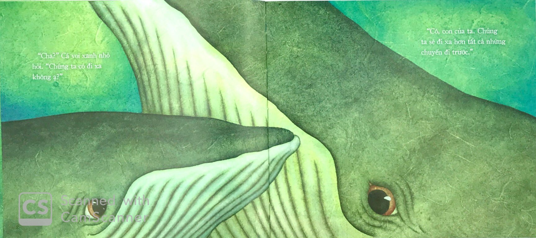 theo bài hát của cha - Ảnh 3