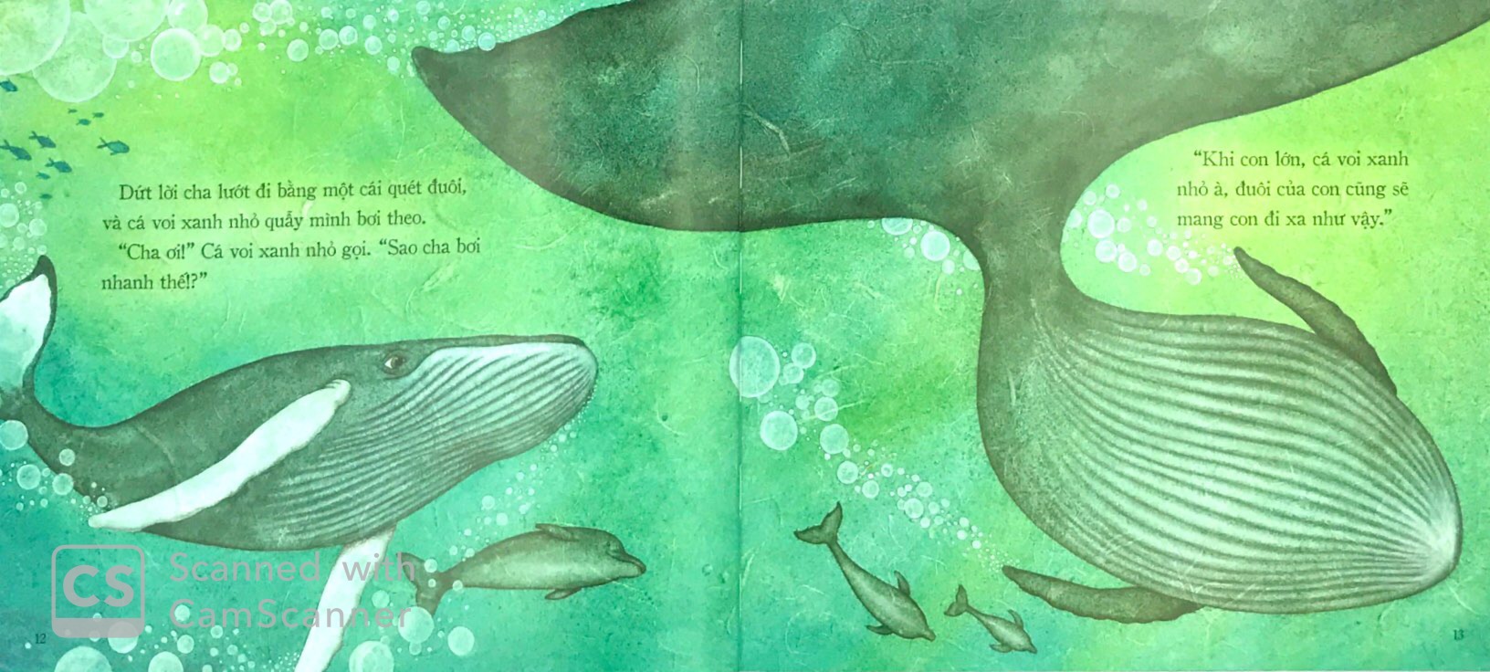 theo bài hát của cha - Ảnh 5