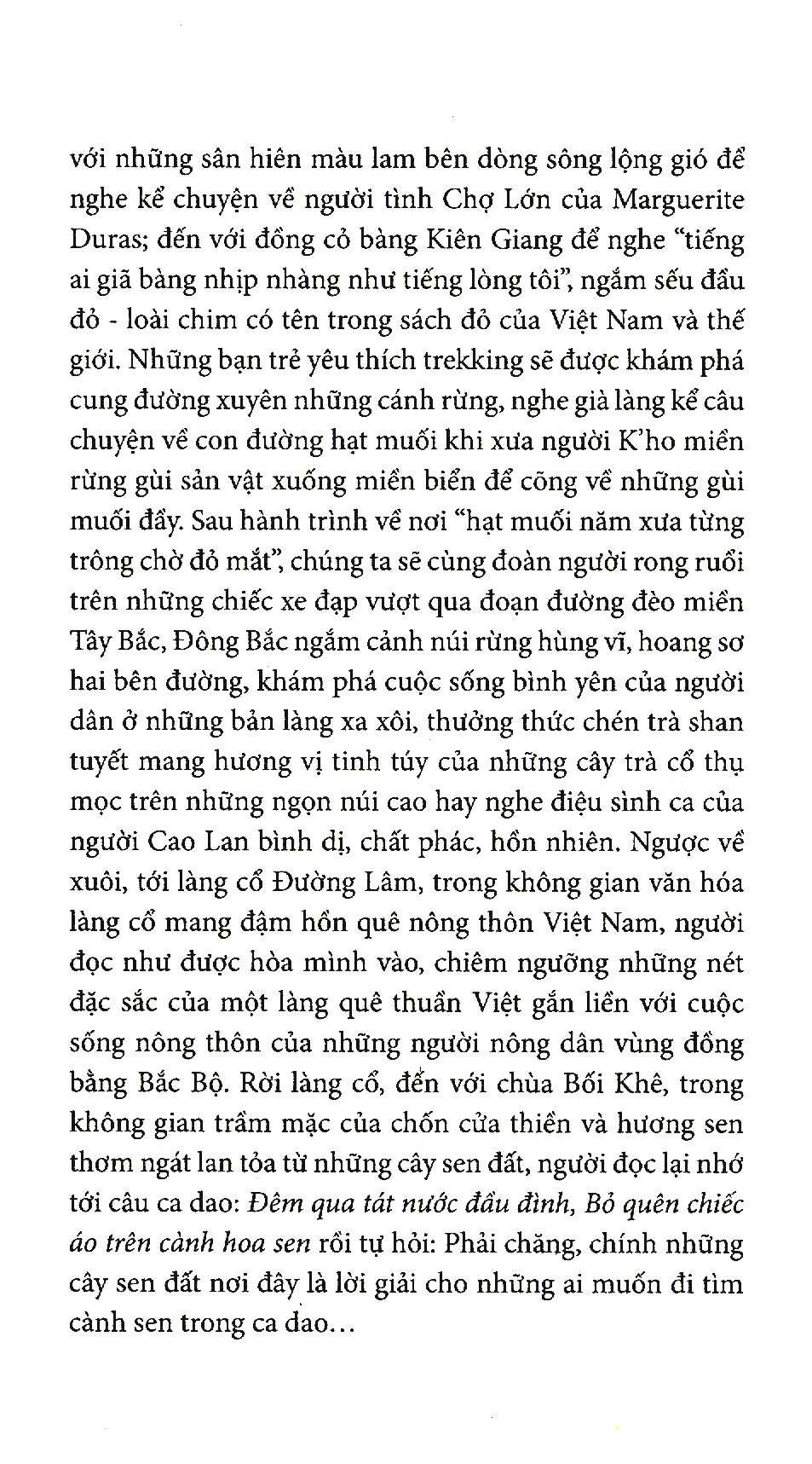 theo dấu chân người tình - Ảnh 6