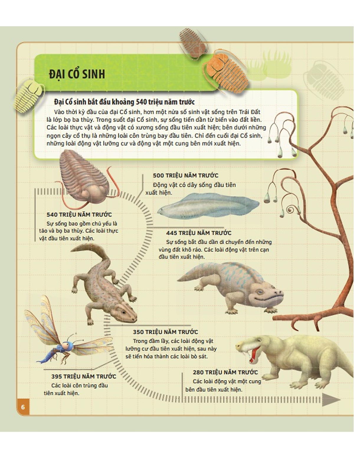 theo dòng thời gian - thời tiền sử - Ảnh 4