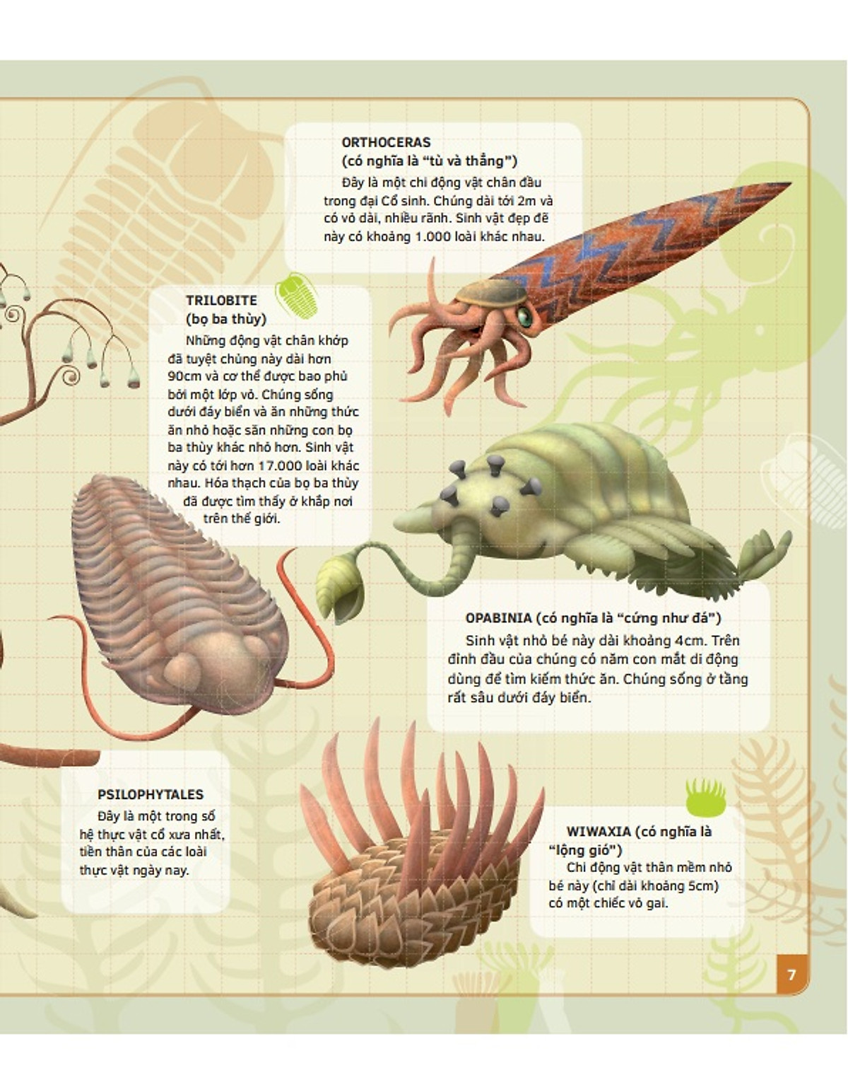 theo dòng thời gian - thời tiền sử - Ảnh 5