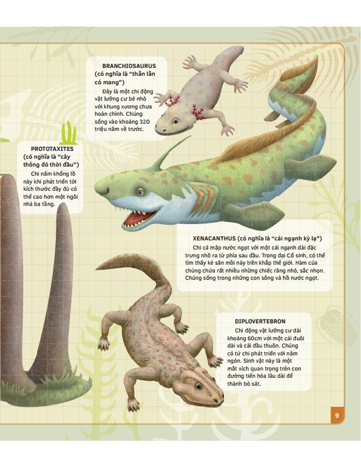 theo dòng thời gian - thời tiền sử - Ảnh 6