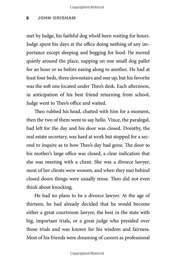 theodore boone: the accomplice - Ảnh 10