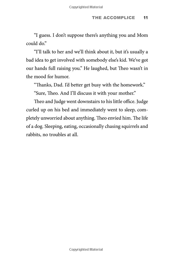 theodore boone: the accomplice - Ảnh 14