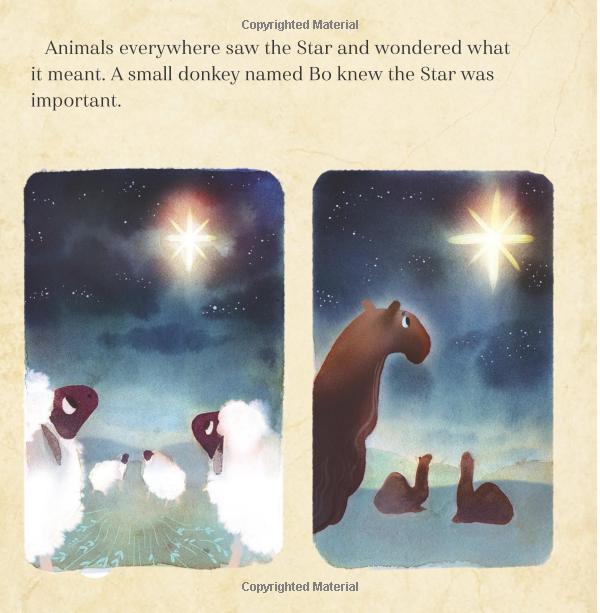 they followed the star - Ảnh 4