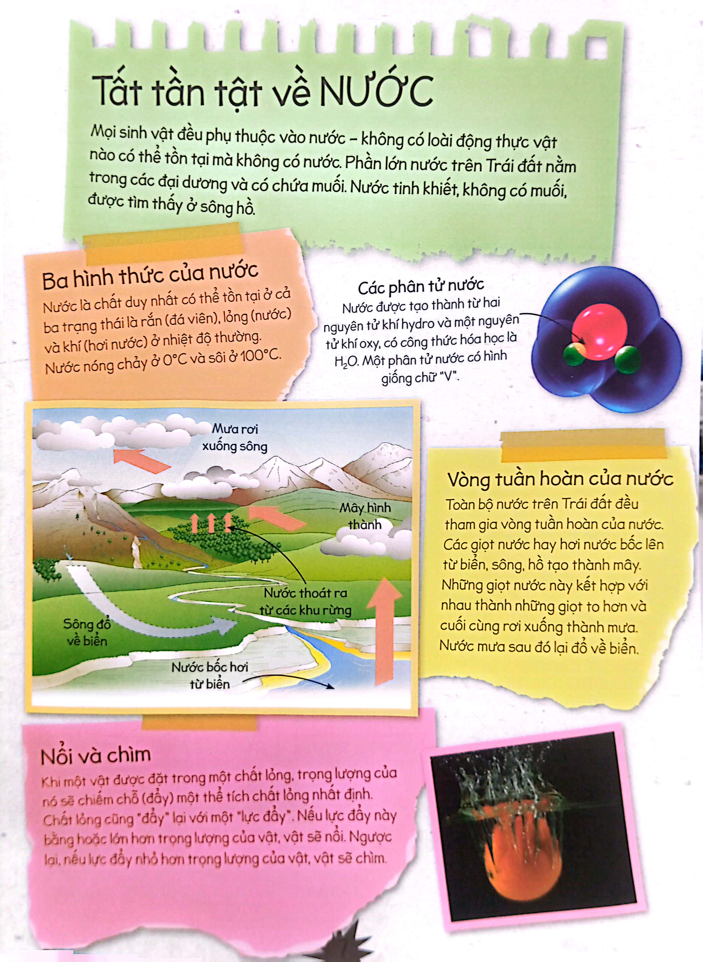 thí nghiệm stem siêu sáng tạo: không khí và nước - Ảnh 6