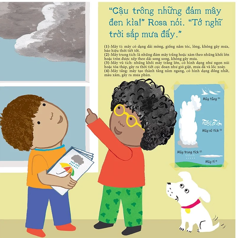 thí nghiệm vui cùng rosa - sự tuần hoàn của nước - Ảnh 3