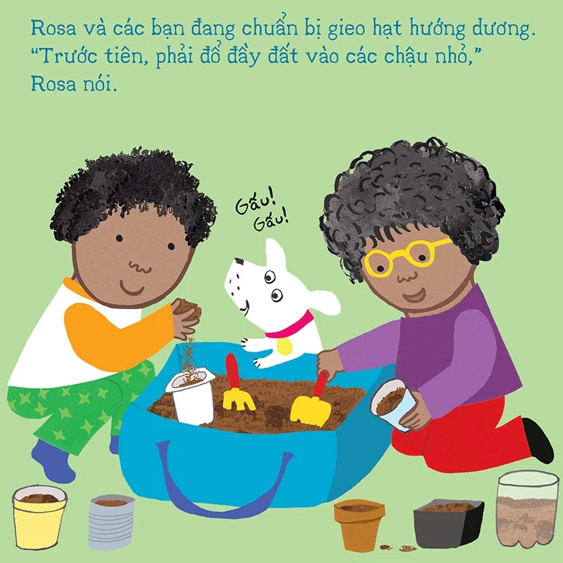 thí nghiệm vui cùng rosa - trồng hoa hướng dương - Ảnh 3