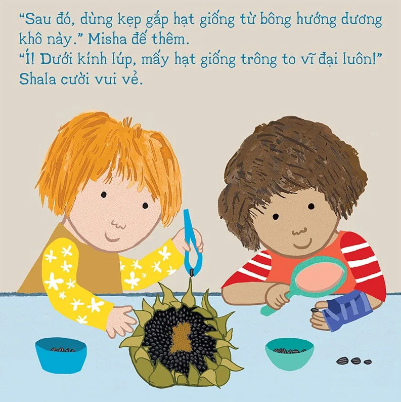 thí nghiệm vui cùng rosa - trồng hoa hướng dương - Ảnh 4