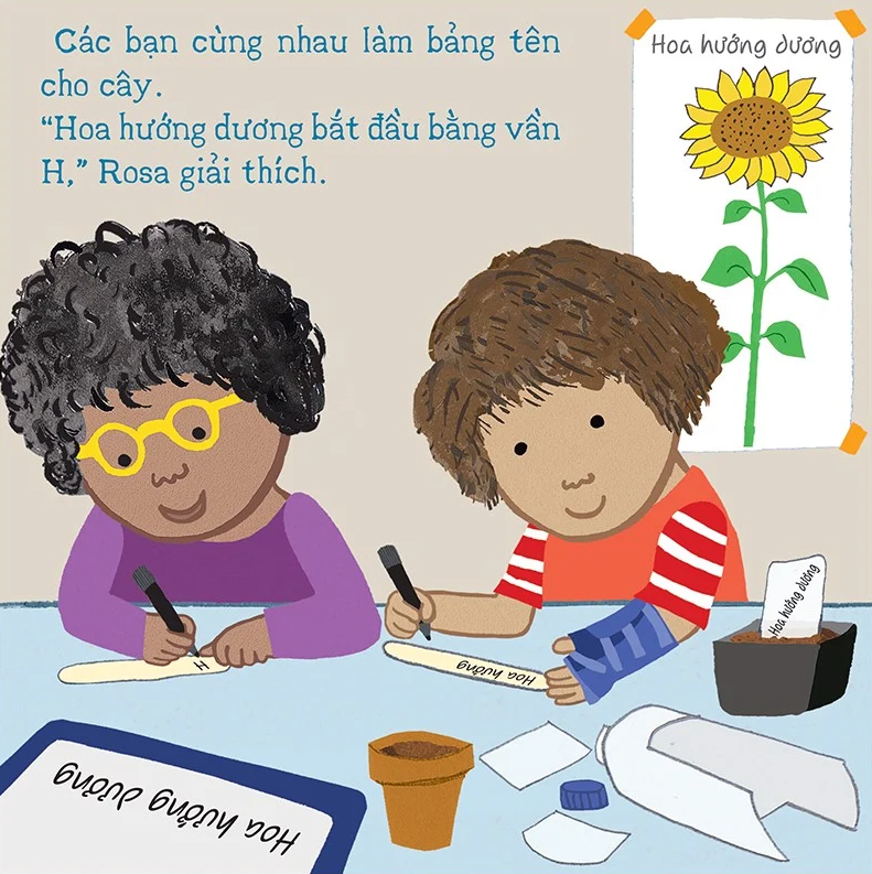 thí nghiệm vui cùng rosa - trồng hoa hướng dương - Ảnh 6