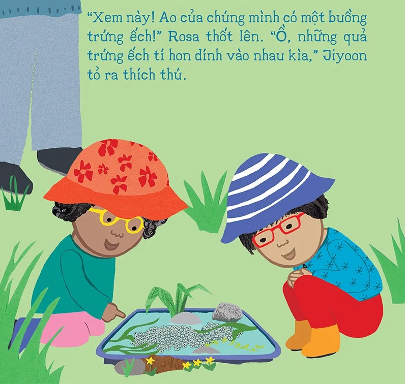 thí nghiệm vui cùng rosa - vòng đời của ếch - Ảnh 3