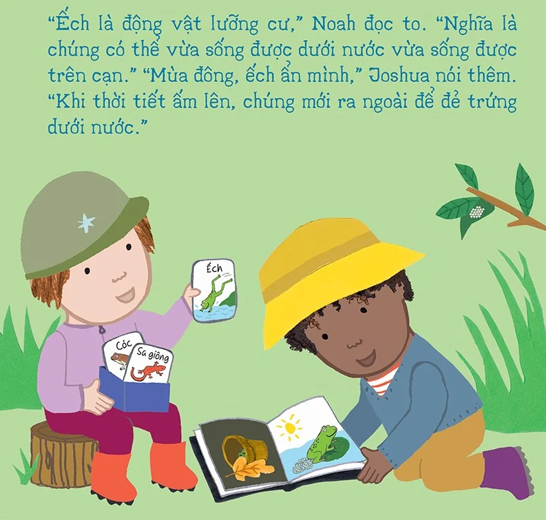 thí nghiệm vui cùng rosa - vòng đời của ếch - Ảnh 4