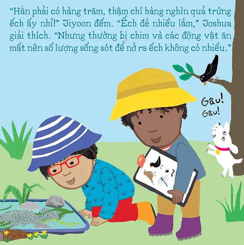 thí nghiệm vui cùng rosa - vòng đời của ếch - Ảnh 5