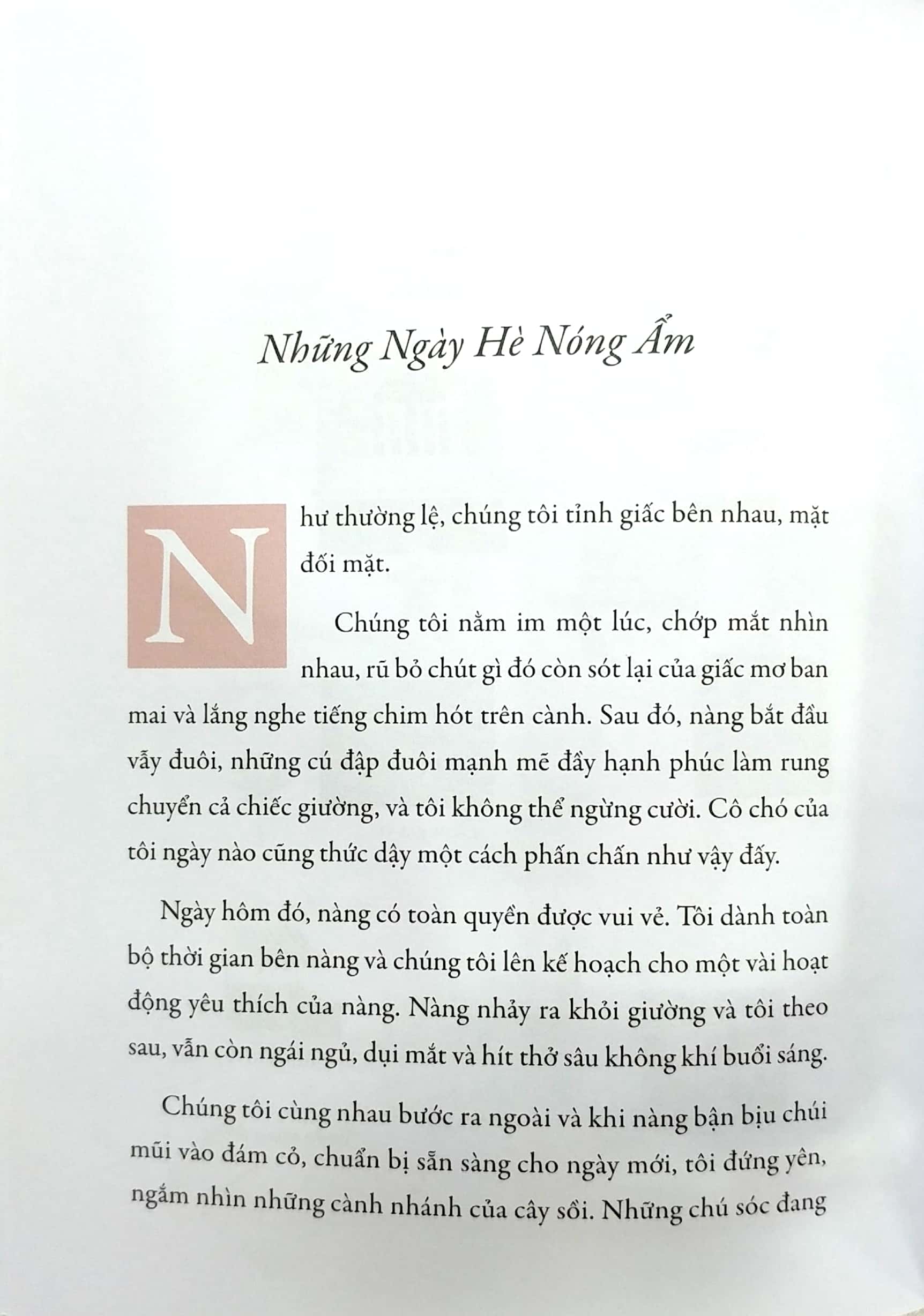 thị trấn chuyện kể - nghi thức nghỉ lễ dành cho người trưởng thành (**) - Ảnh 8