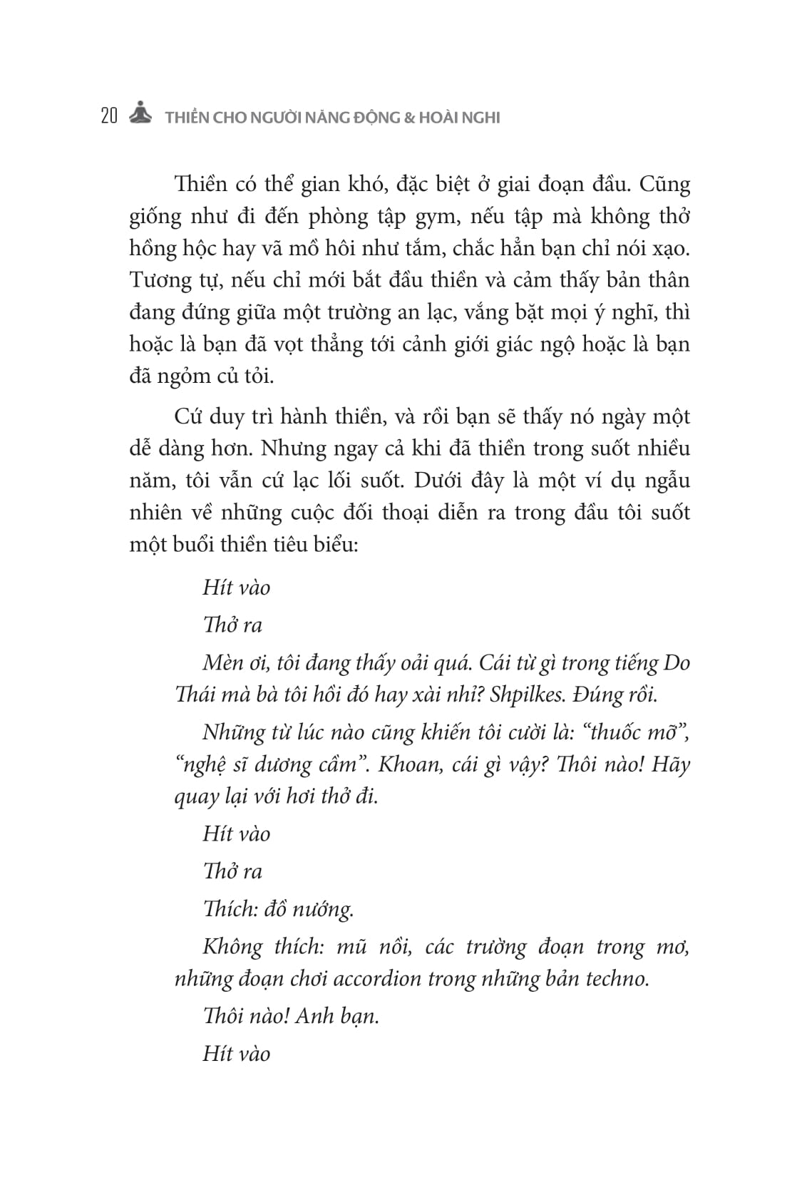 thiền cho người năng động và hoài nghi - Ảnh 13