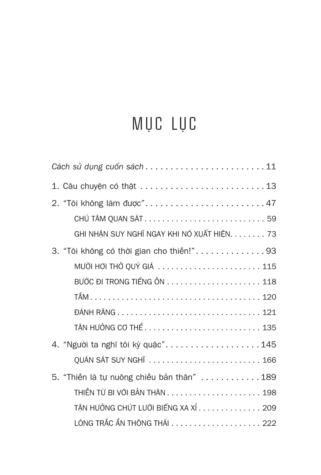 thiền cho người năng động và hoài nghi - Ảnh 4
