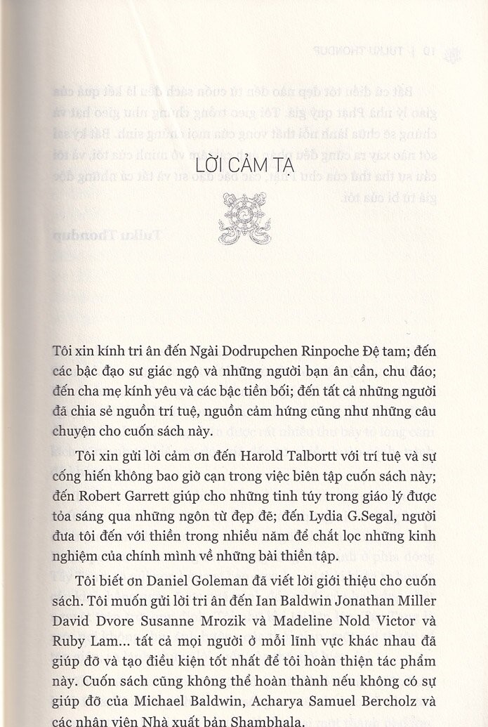 thiền chữa lành thân và tâm - Ảnh 5