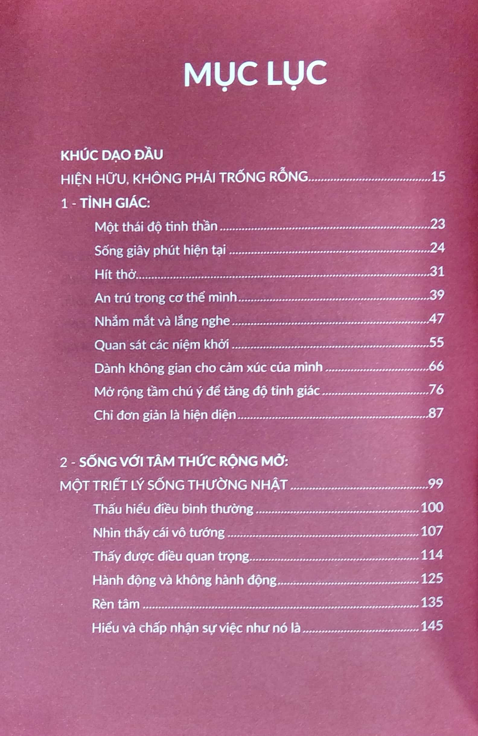 thiền định mỗi ngày - một cẩm nang nhỏ giúp luôn sống trong tỉnh thức - Ảnh 3