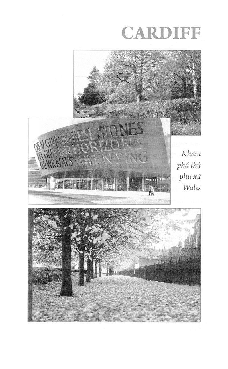 thiên đường qua những ô cửa màu xanh - Ảnh 14