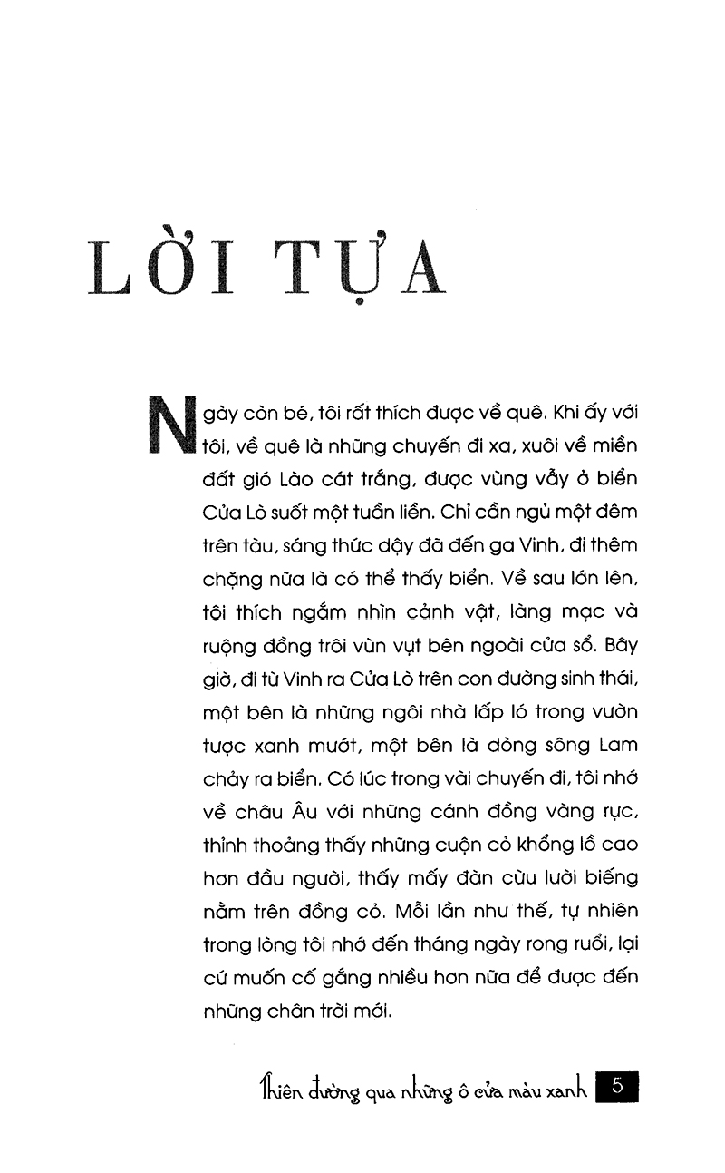 thiên đường qua những ô cửa màu xanh - Ảnh 3