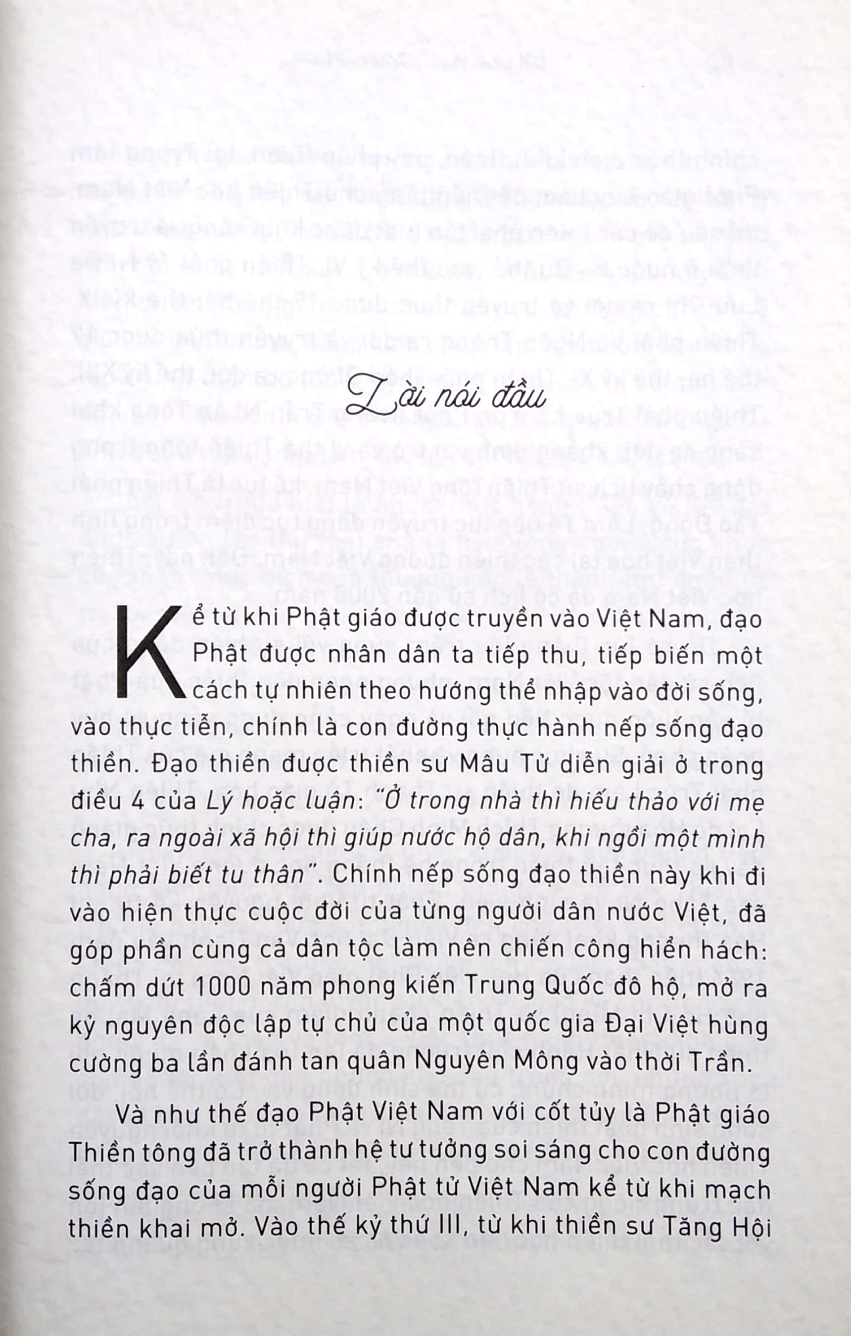 thiền học việt nam - Ảnh 4