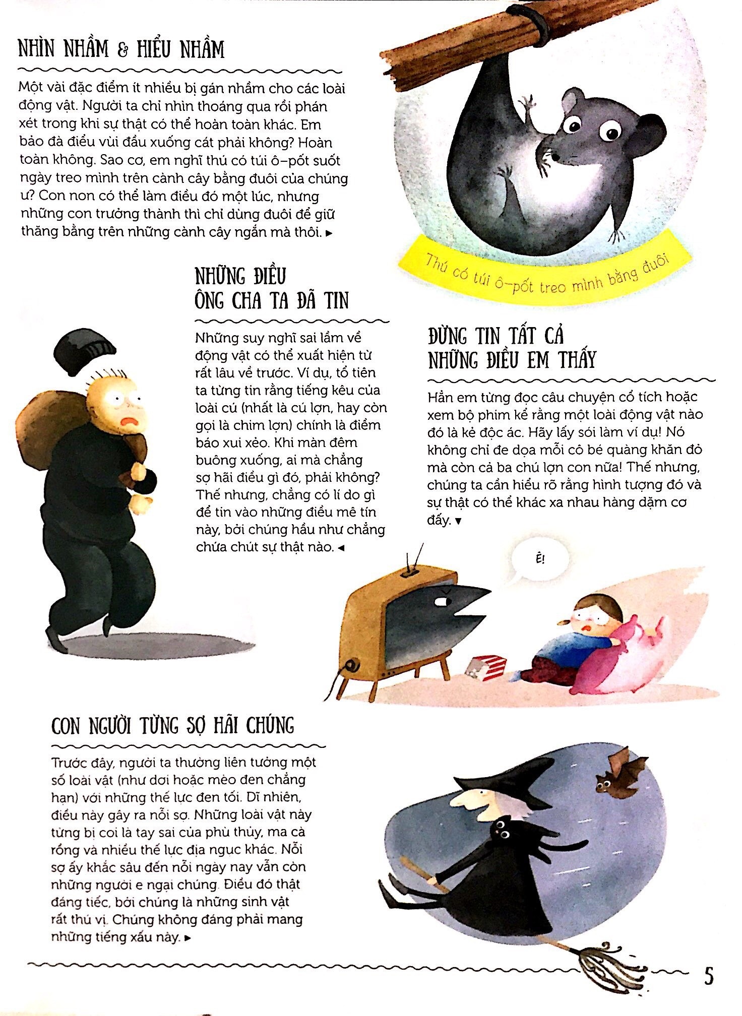 thiên nhiên kì thú - những hiểu lầm phổ biến về các loài động vật (tái bản 2019) - Ảnh 4