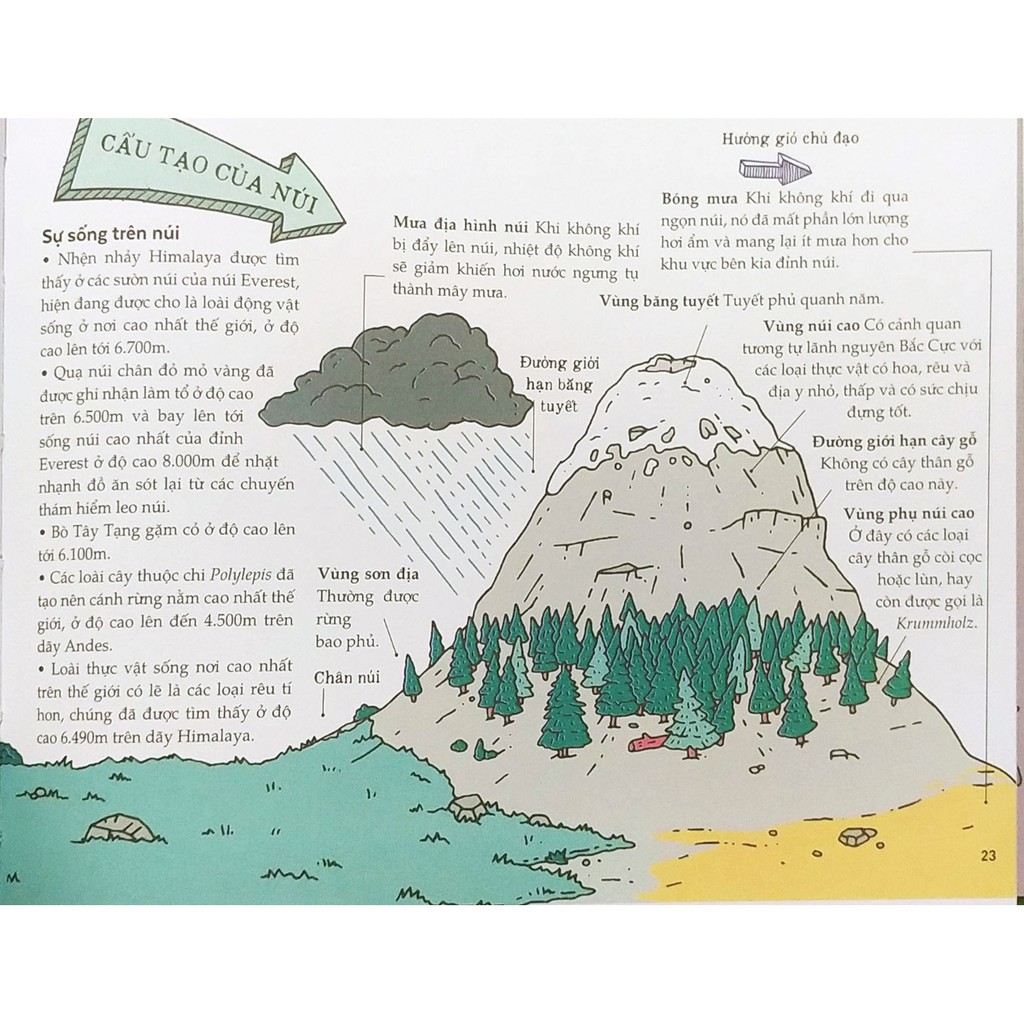 thiên nhiên kỳ thú - Ảnh 3