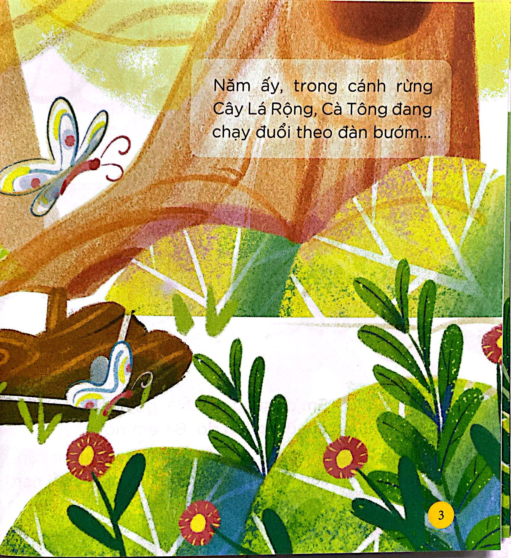 thiên nhiên kỳ thú - bộ gươm của hiệp sĩ - Ảnh 5