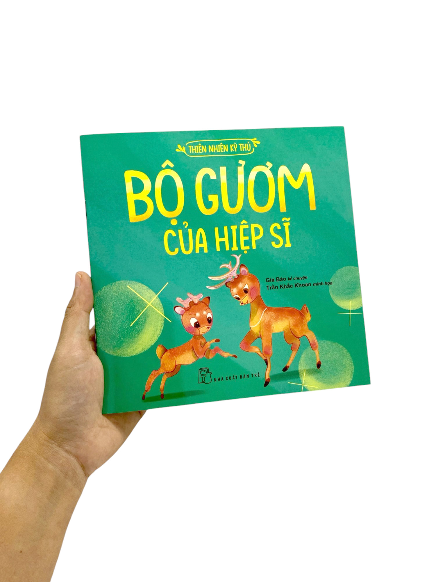 thiên nhiên kỳ thú - bộ gươm của hiệp sĩ - Ảnh 9