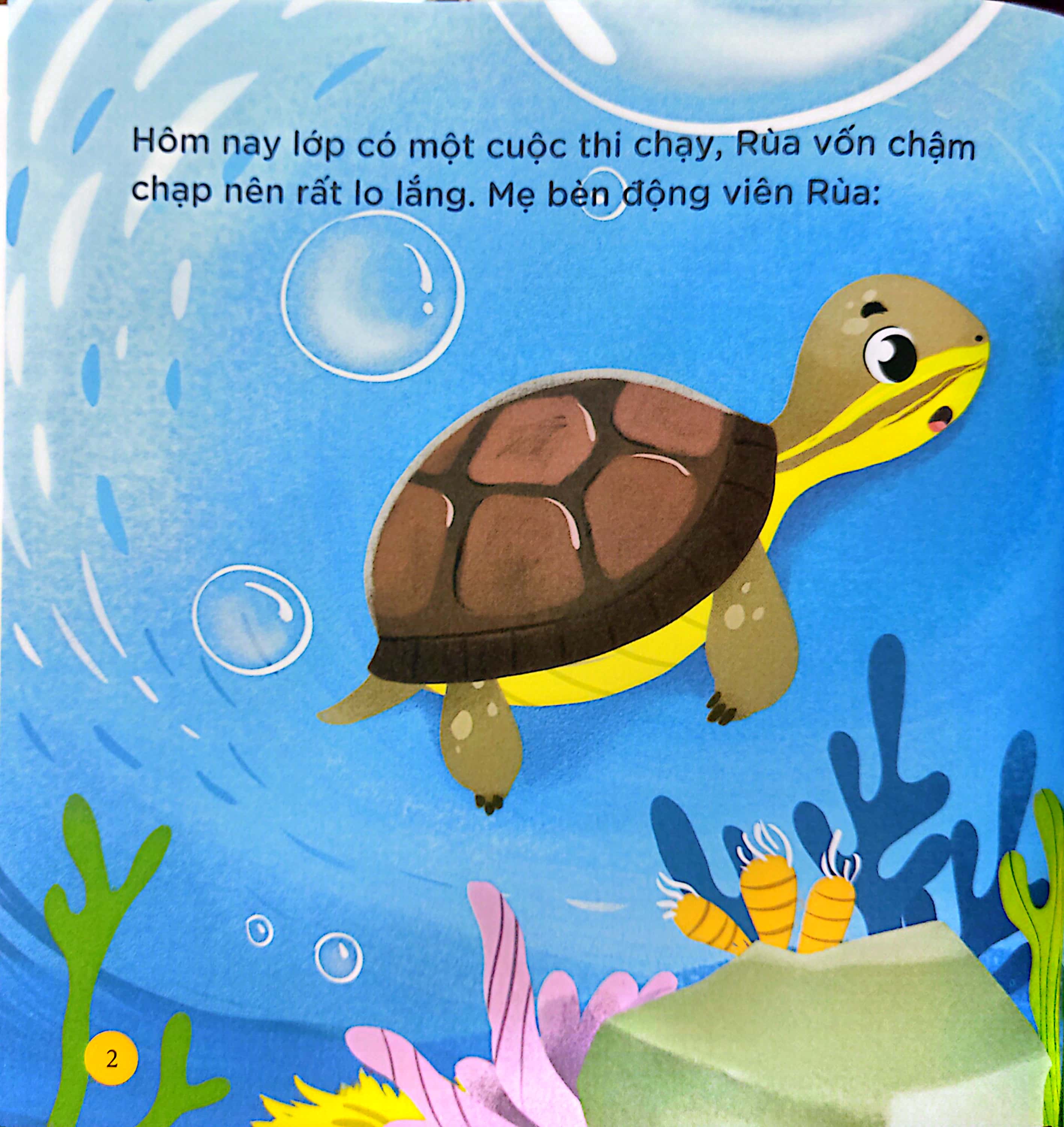 thiên nhiên kỳ thú - rùa hộp lưng đen - Ảnh 4