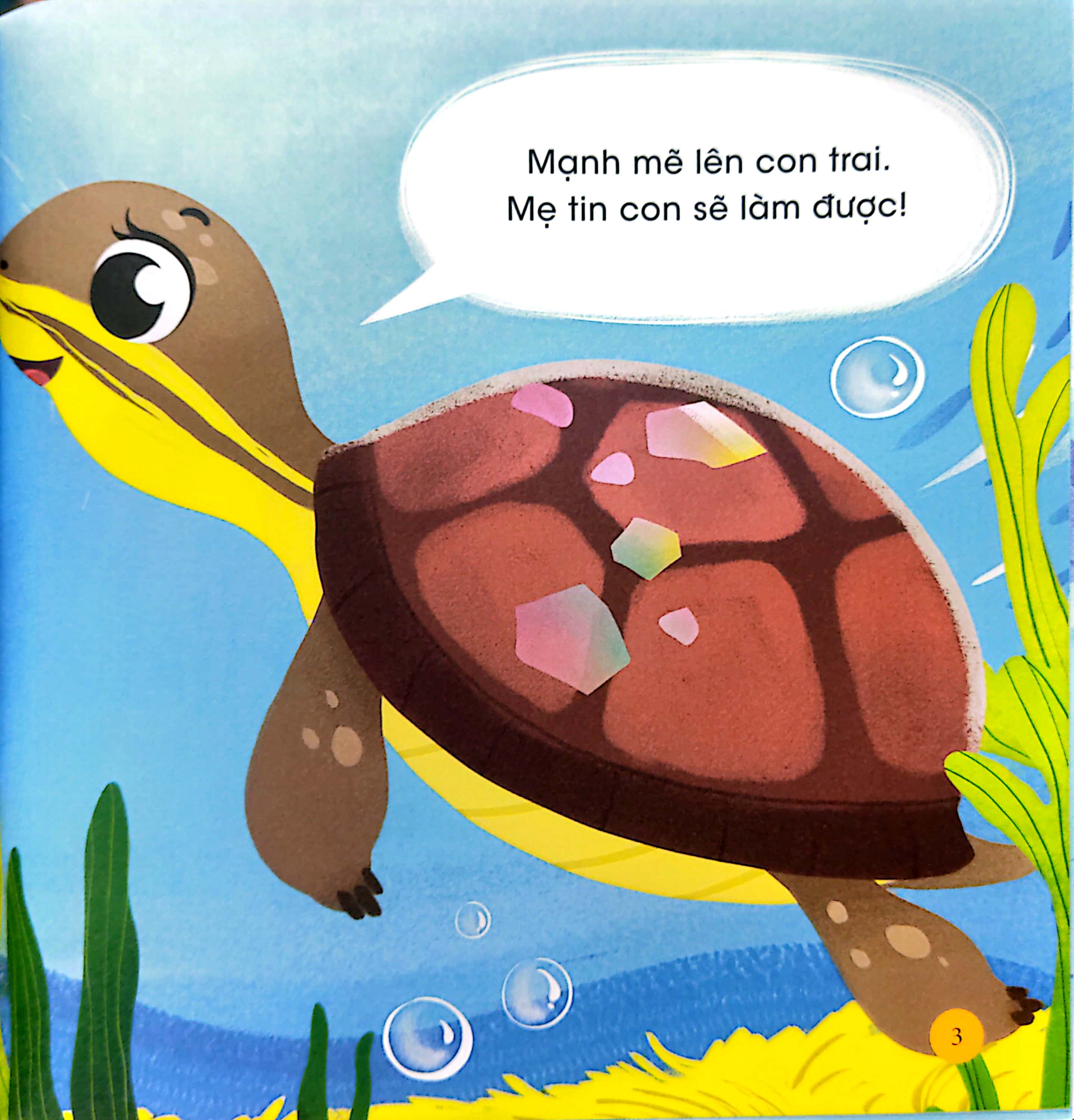 thiên nhiên kỳ thú - rùa hộp lưng đen - Ảnh 5