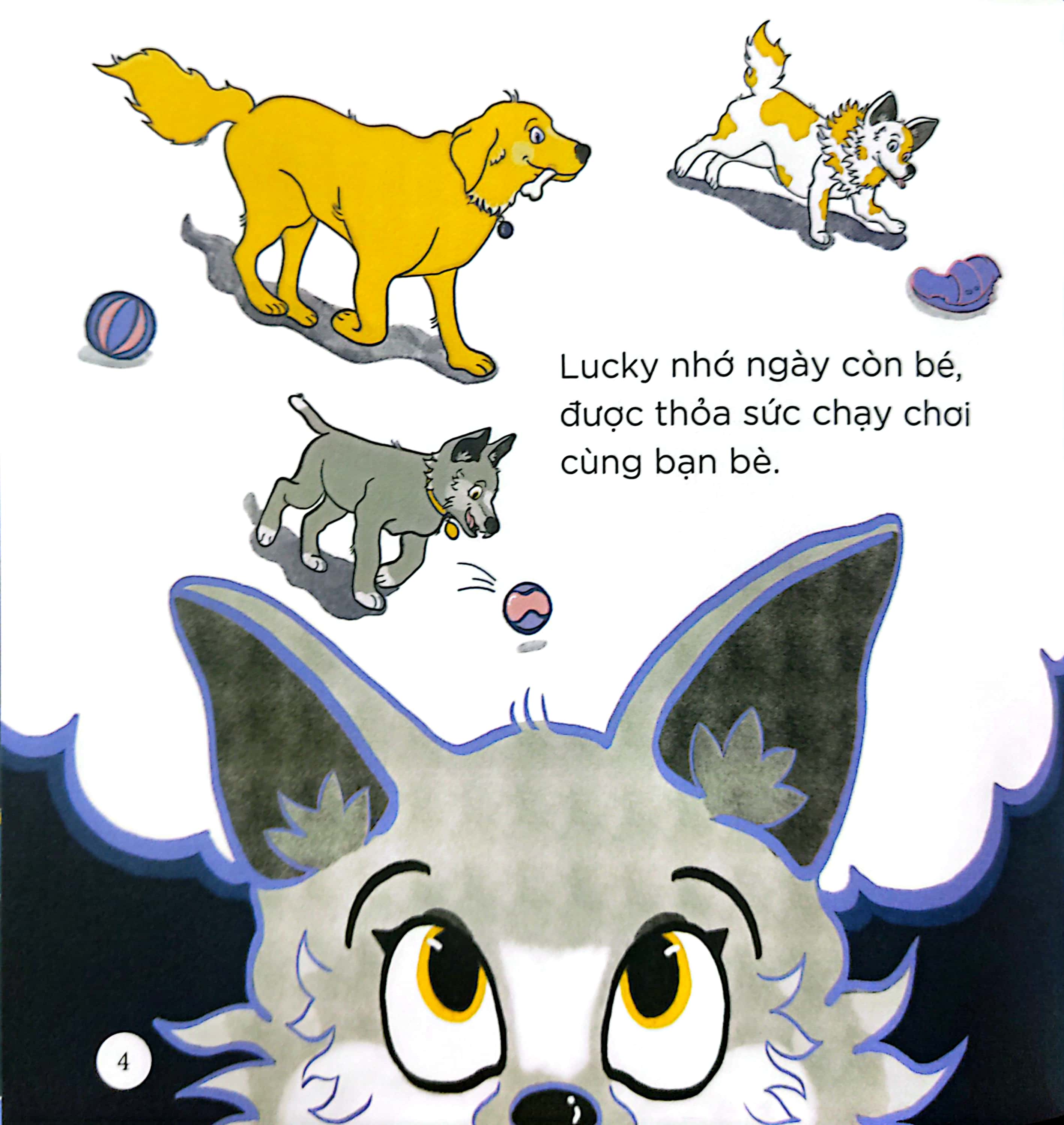 thiên nhiên kỳ thú - sói xám chờ trăng - Ảnh 6