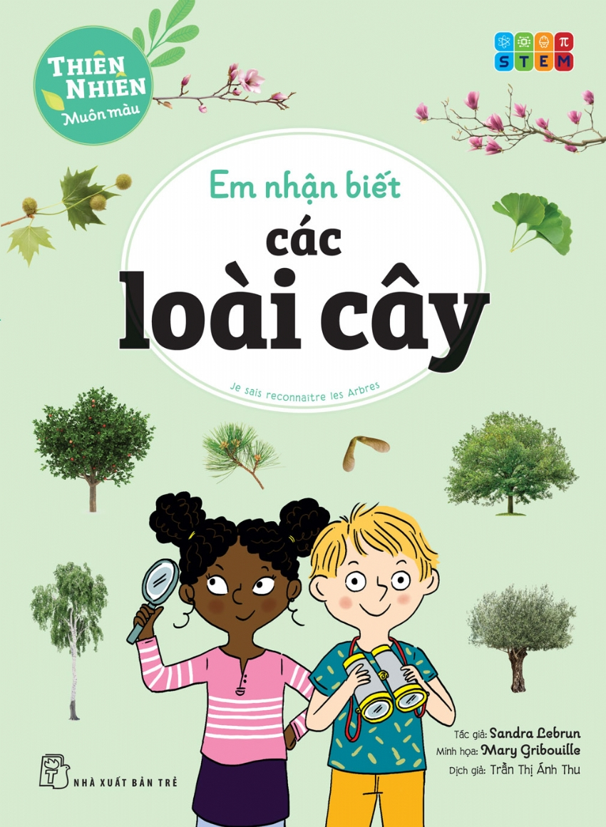 thiên nhiên muôn màu - stem - em nhận biết các loài cây - Ảnh 2